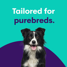 Load image into Gallery viewer, Purebred Dog Full Breed Profile
