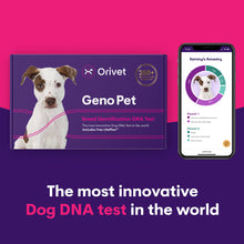 Load image into Gallery viewer, Geno Pet Dog Breed Identification DNA test
