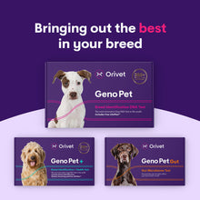 Load image into Gallery viewer, Geno Pet Dog Breed Identification DNA test
