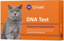 Load image into Gallery viewer, Purebred Cat Full Breed Profile
